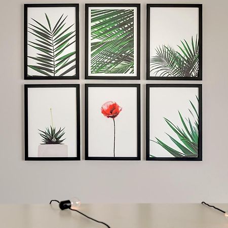 Studio Baltica Brzezno Gdaňsk Exteriér fotografie